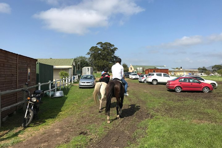 Horse riding & WIne Tasting - Photo 1 of 7